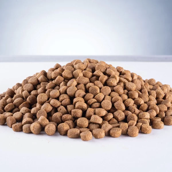 Alinutri Nature Fórmula Premium Especial Gatos Filhotes 10 Kg - Imagem 2
