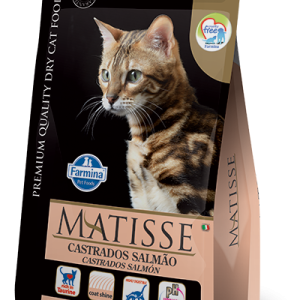 Matisse Gatos Adultos Castrados Salmão GRANEL