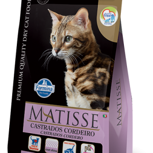 Matisse Gatos Adultos Castrados Cordeiro GRANEL