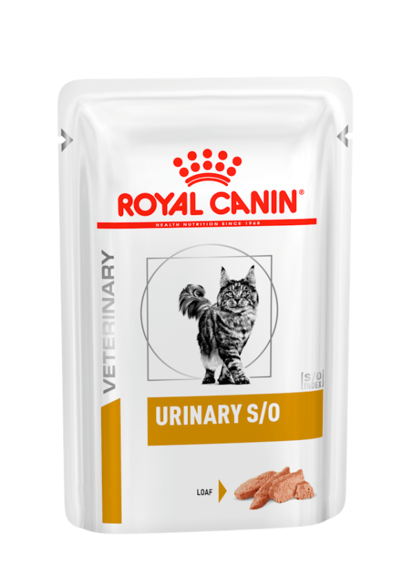Sachê Urinary S/O Feline